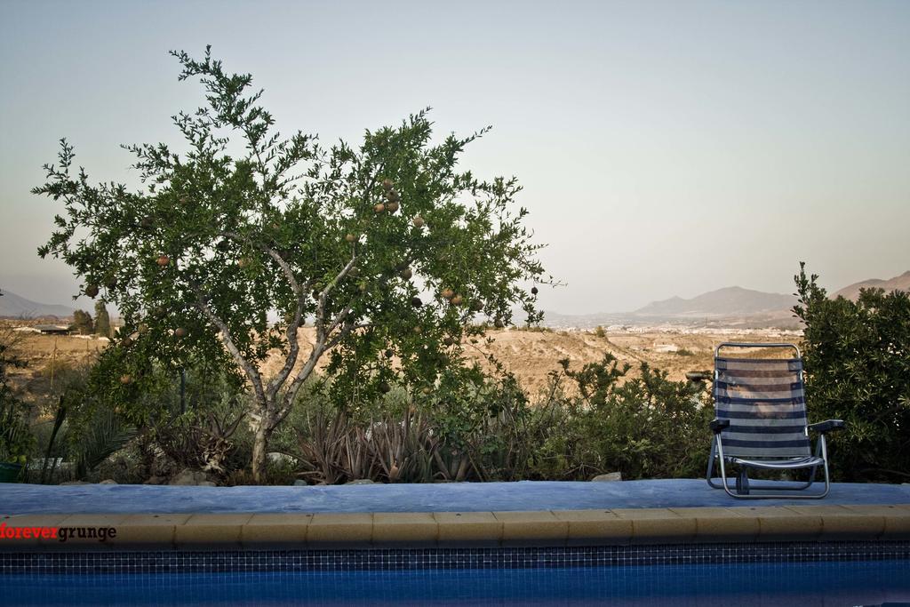 Casa Rural Aloe Vera Huércal-Overa Exterior foto