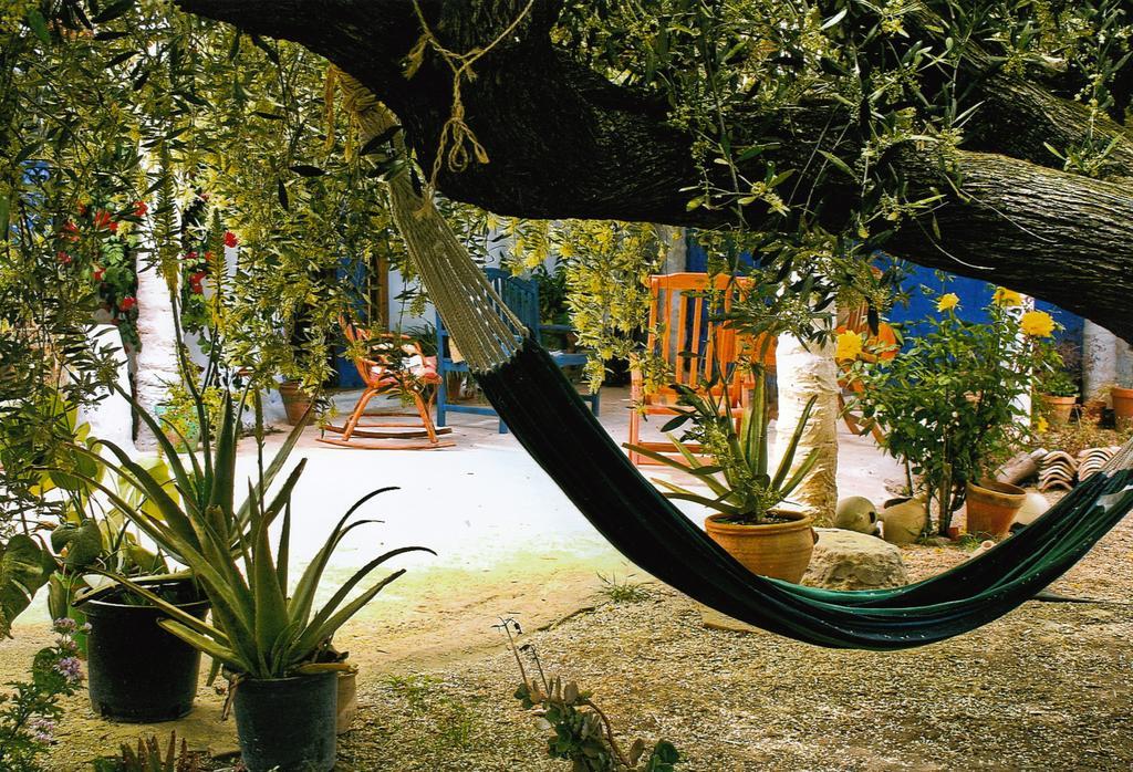Casa Rural Aloe Vera Huércal-Overa Exterior foto